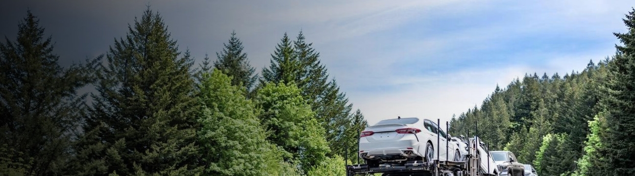 Secure  Car Shipping